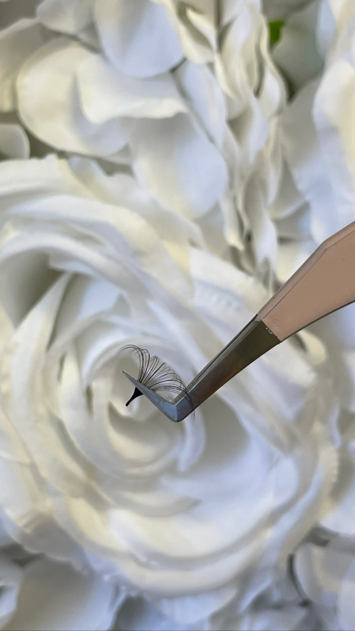 Dreamy Tweezer