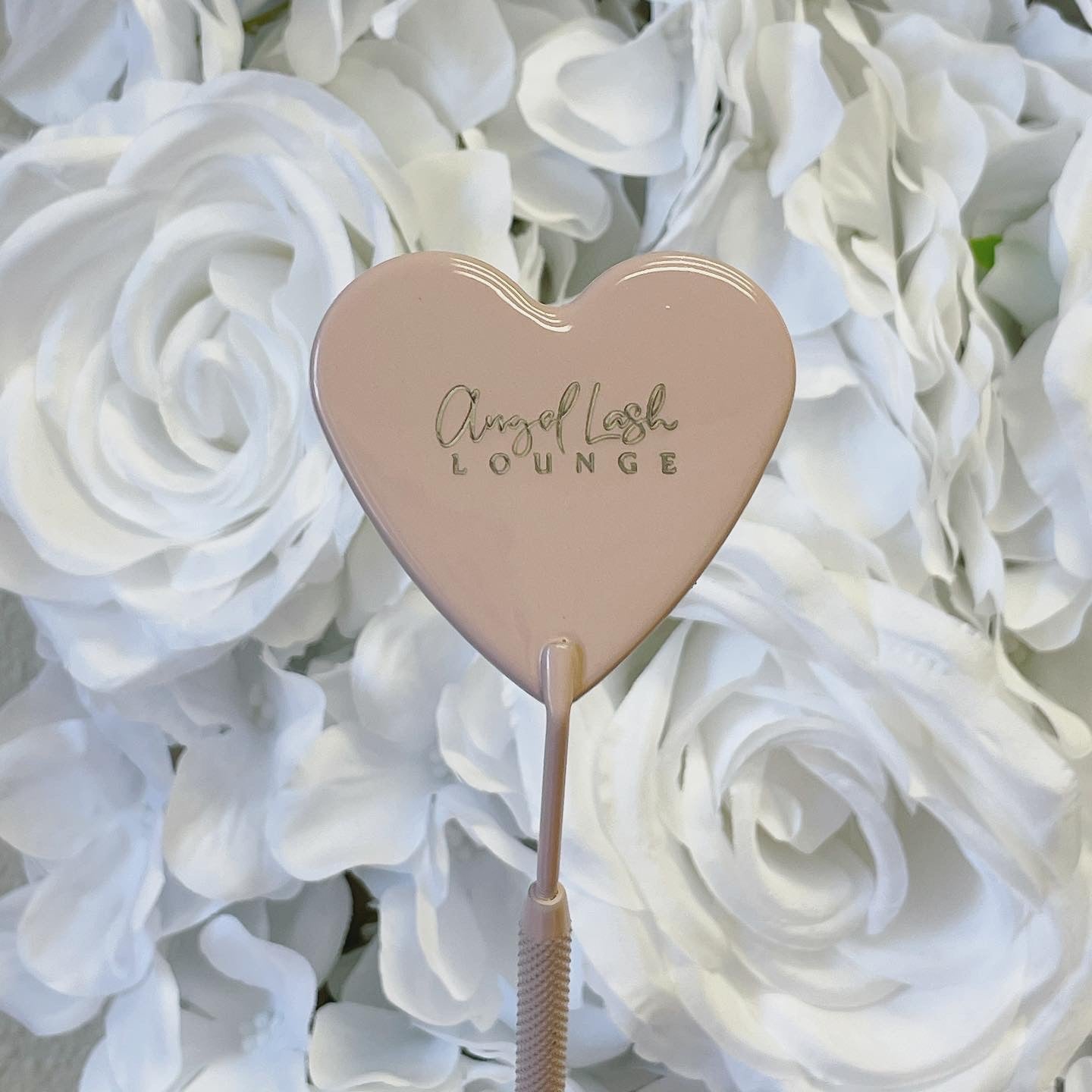 Heart Mirror