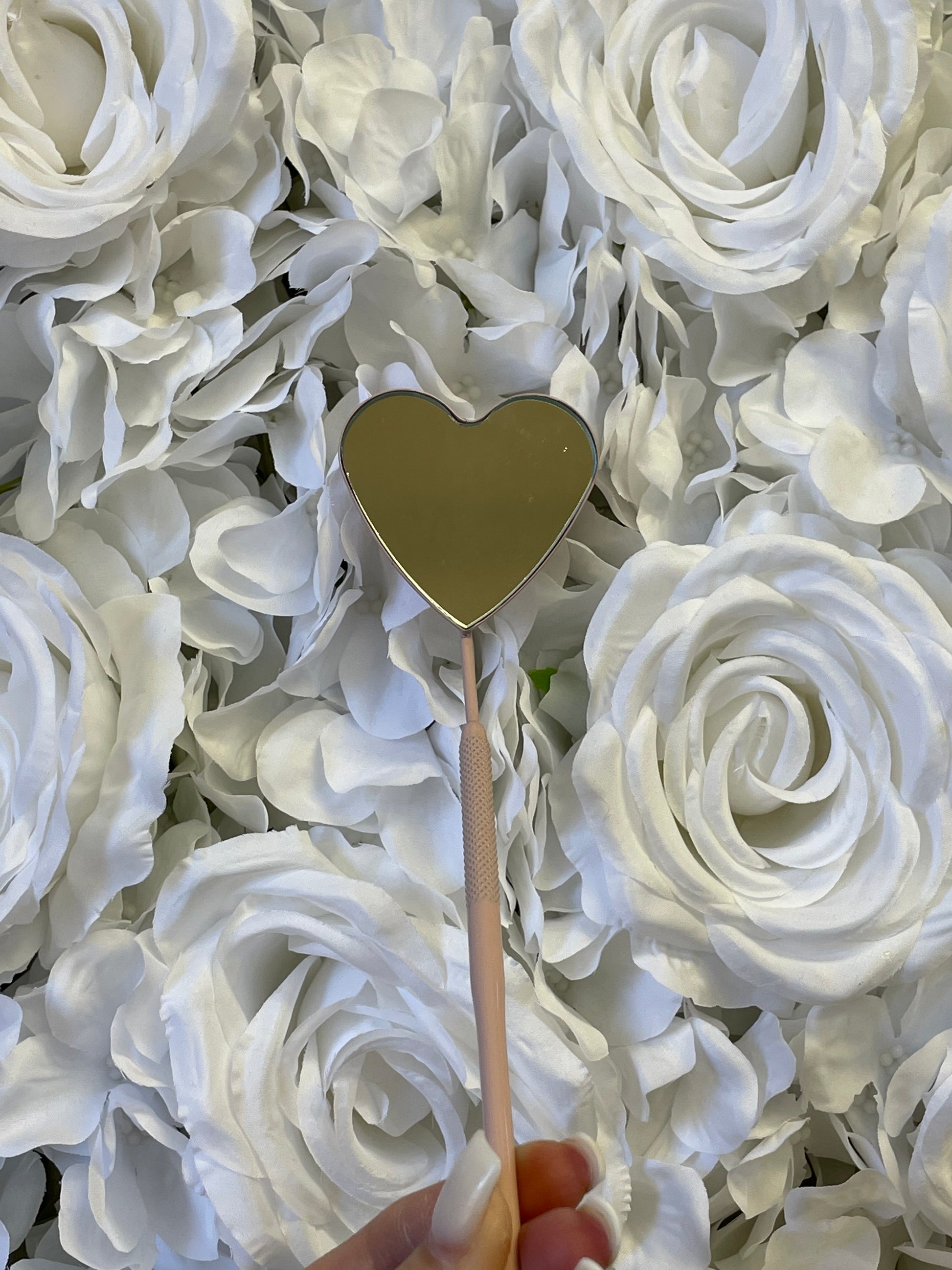 Heart Mirror